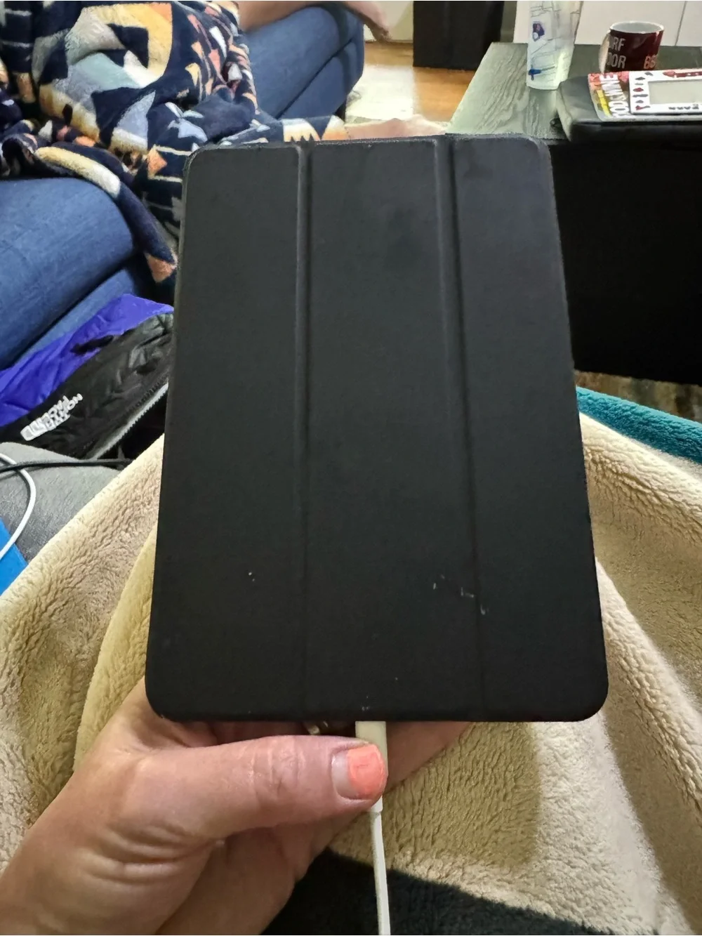 Apple iPad 2 Mini in Black